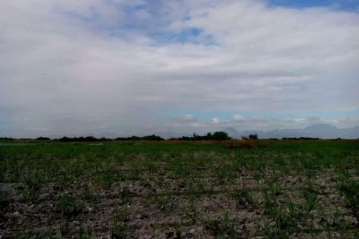 Land for Sale in Dolores, Bacolor, Pampanga – photo 6