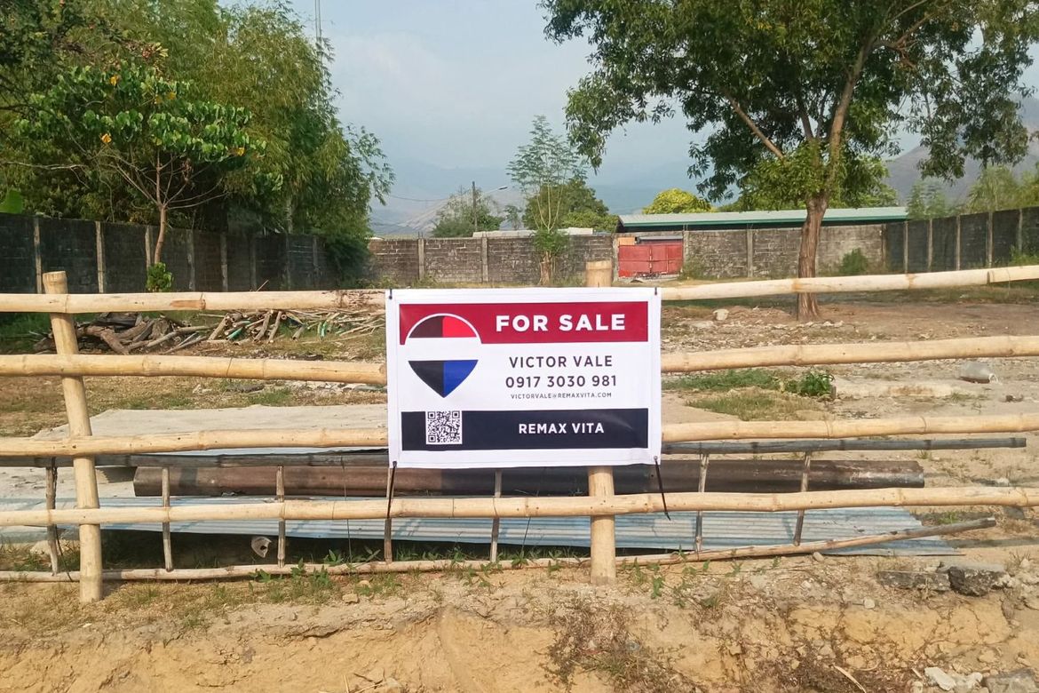Land for Sale in Dolores, Cabangan, Zambales – photo 2