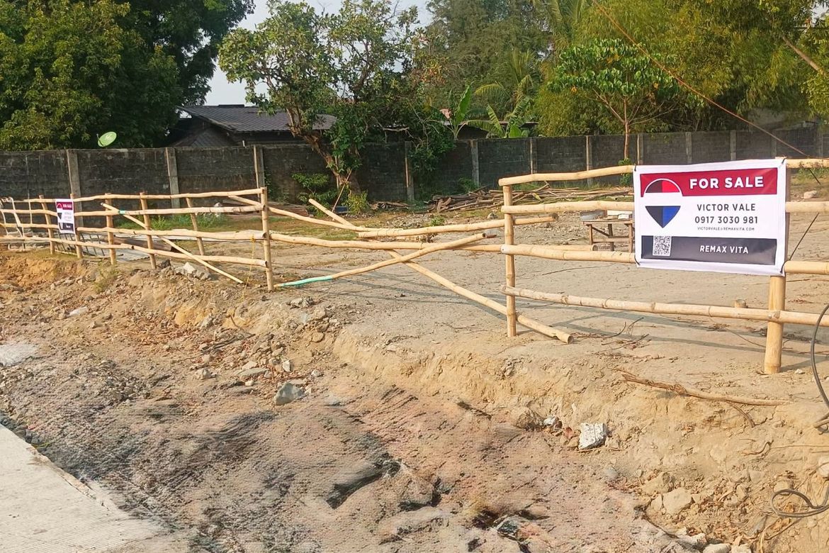 Land for Sale in Dolores, Cabangan, Zambales – photo 3