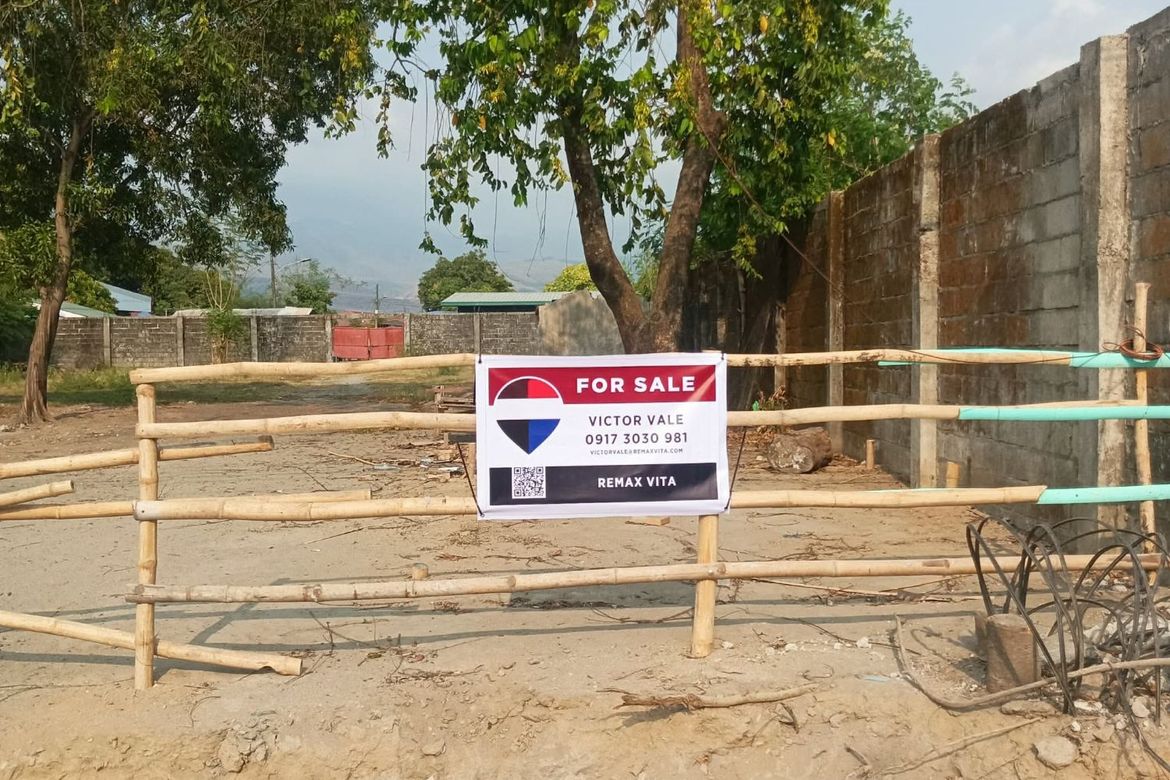 Land for Sale in Dolores, Cabangan, Zambales – photo 4