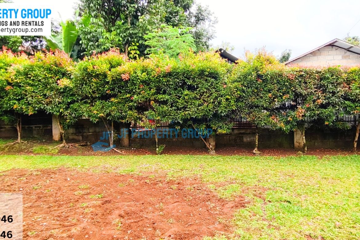 Land for Sale in Dolores, Ormoc, Leyte – photo 3