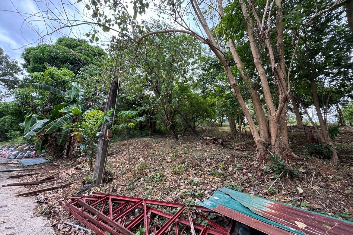 Land for Sale in Dolores, Taytay, Rizal – photo 2