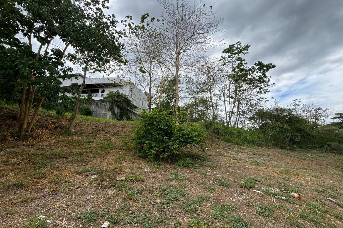 Land for Sale in Dolores, Taytay, Rizal – photo 4