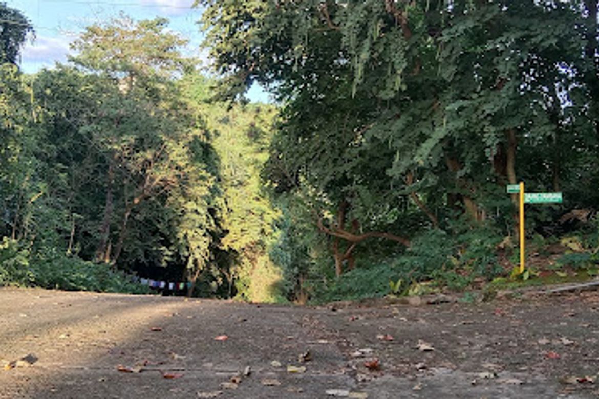 Land for Sale in Dolores, Taytay, Rizal – photo 2