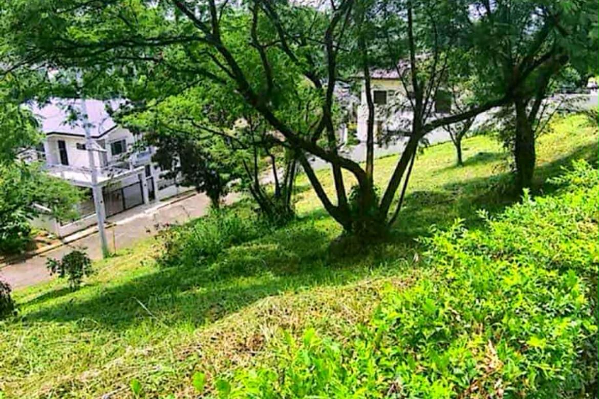 Land for Sale in Dolores, Taytay, Rizal
