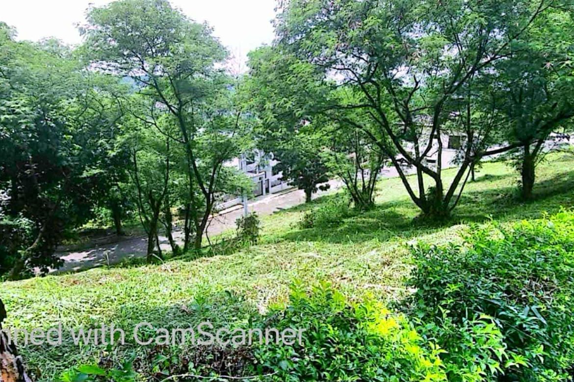 Land for Sale in Dolores, Taytay, Rizal – photo 3