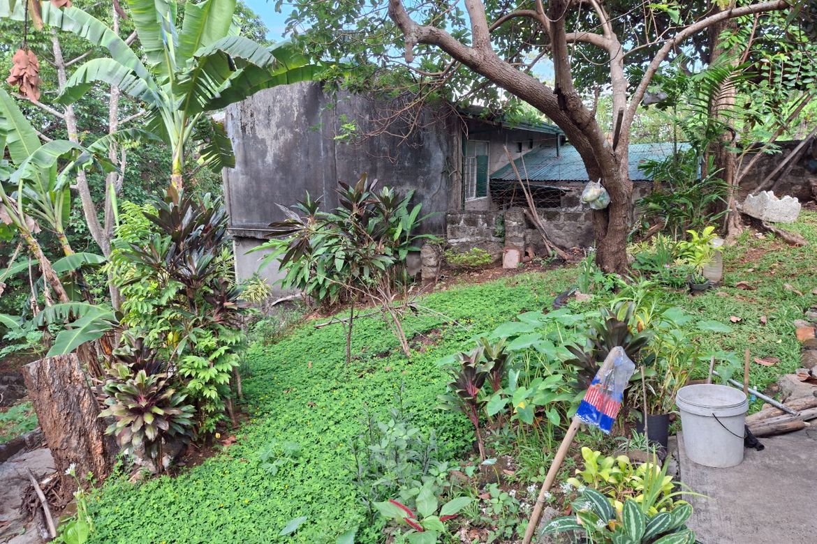 Land for Sale in Dolores, Taytay, Rizal – photo 5