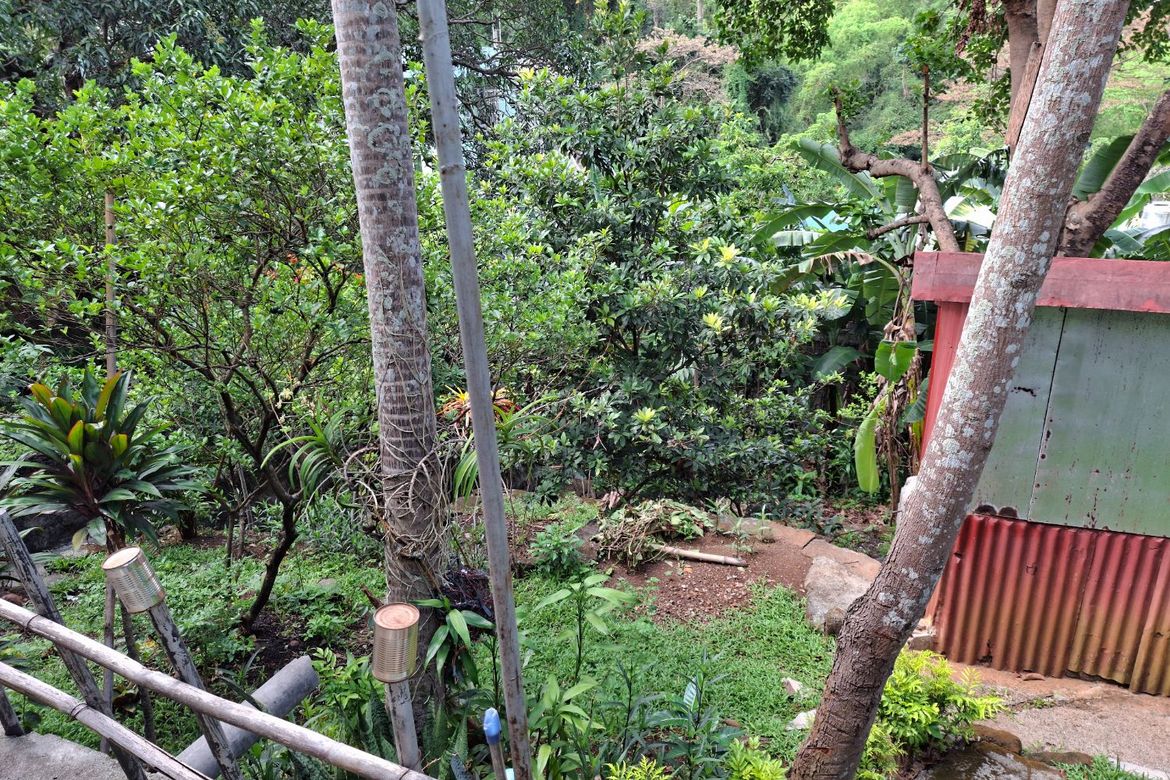 Land for Sale in Dolores, Taytay, Rizal – photo 6
