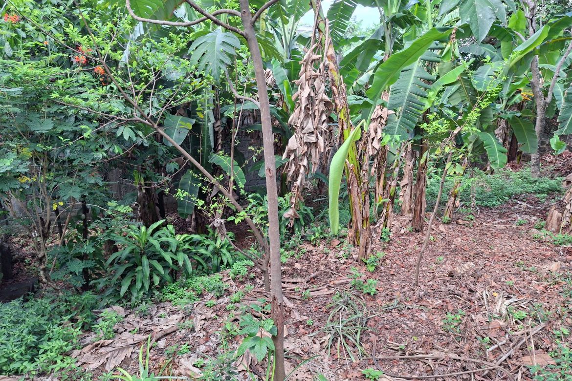Land for Sale in Dolores, Taytay, Rizal – photo 7