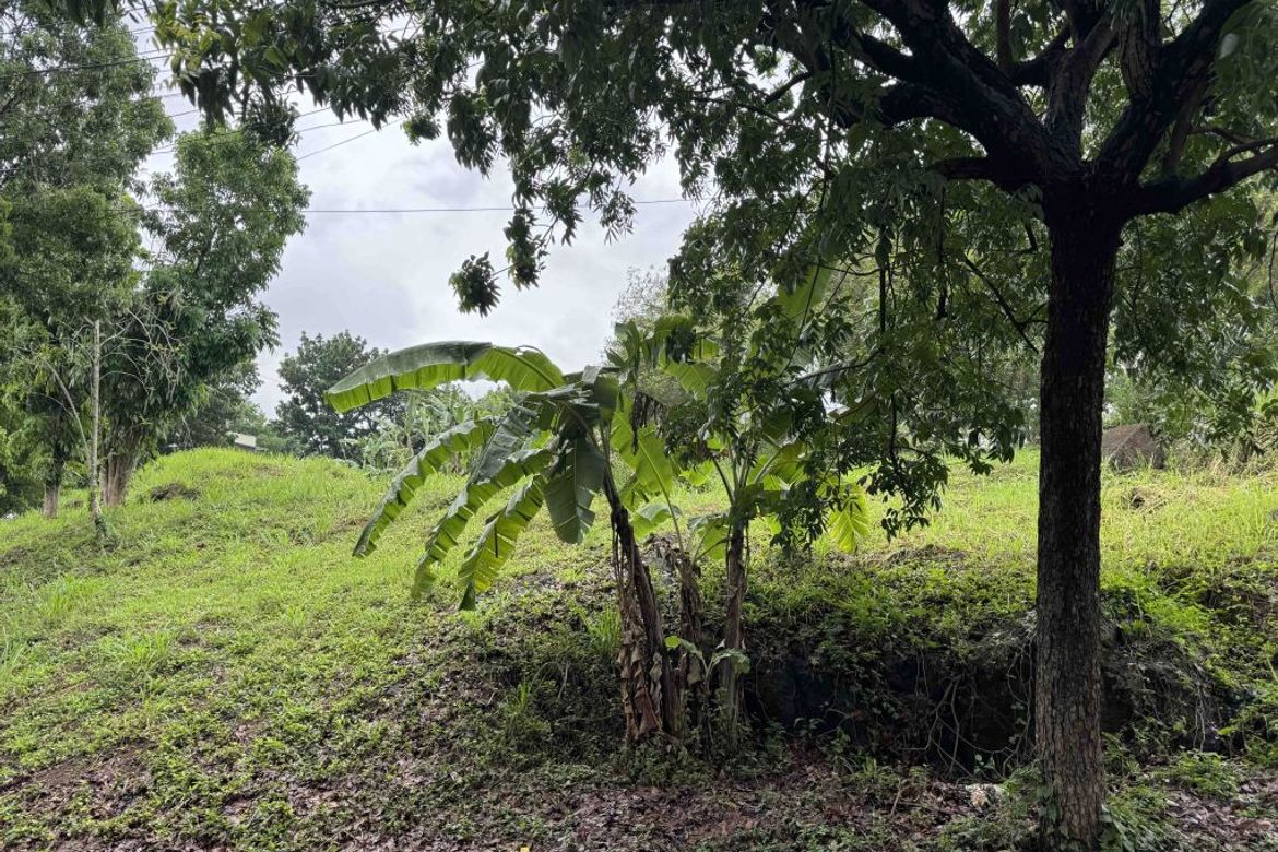 Land for Sale in Dolores, Taytay, Rizal