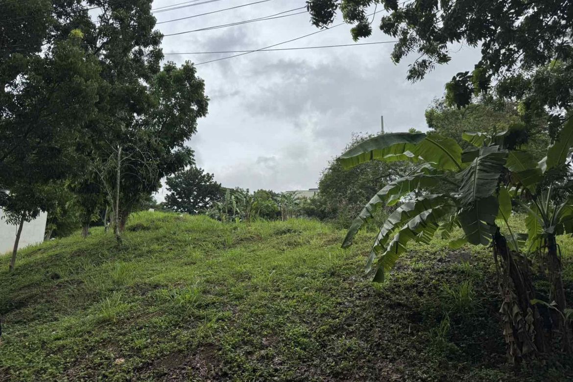 Land for Sale in Dolores, Taytay, Rizal – photo 3