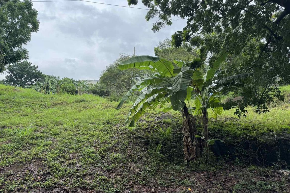 Land for Sale in Dolores, Taytay, Rizal – photo 4