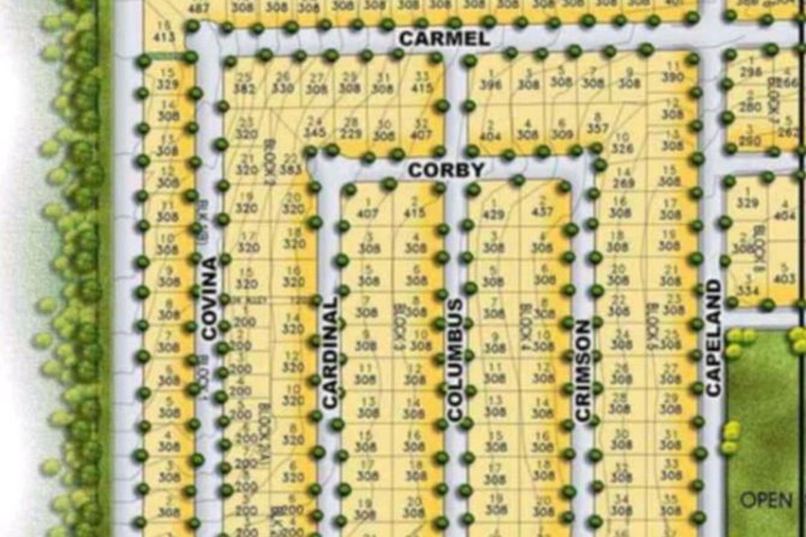 Land for Sale in Dolores, Taytay, Rizal – photo 6