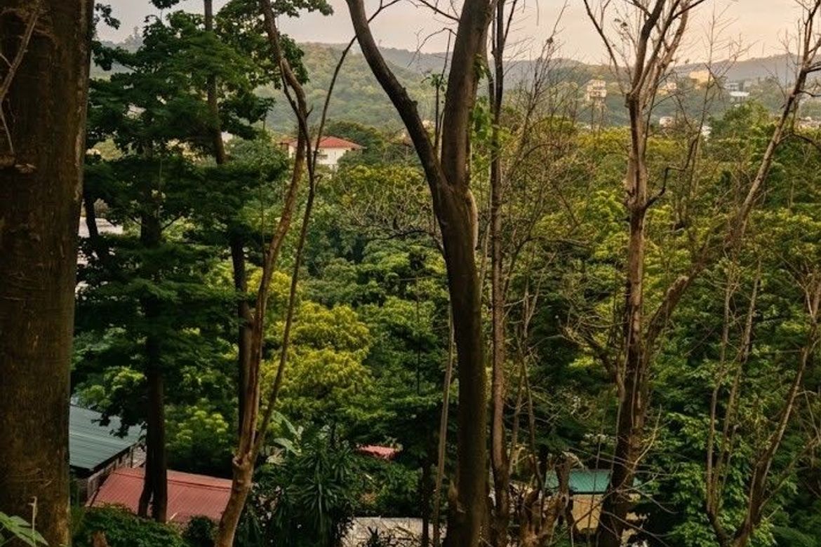 Land for Sale in Dolores, Taytay, Rizal – photo 4