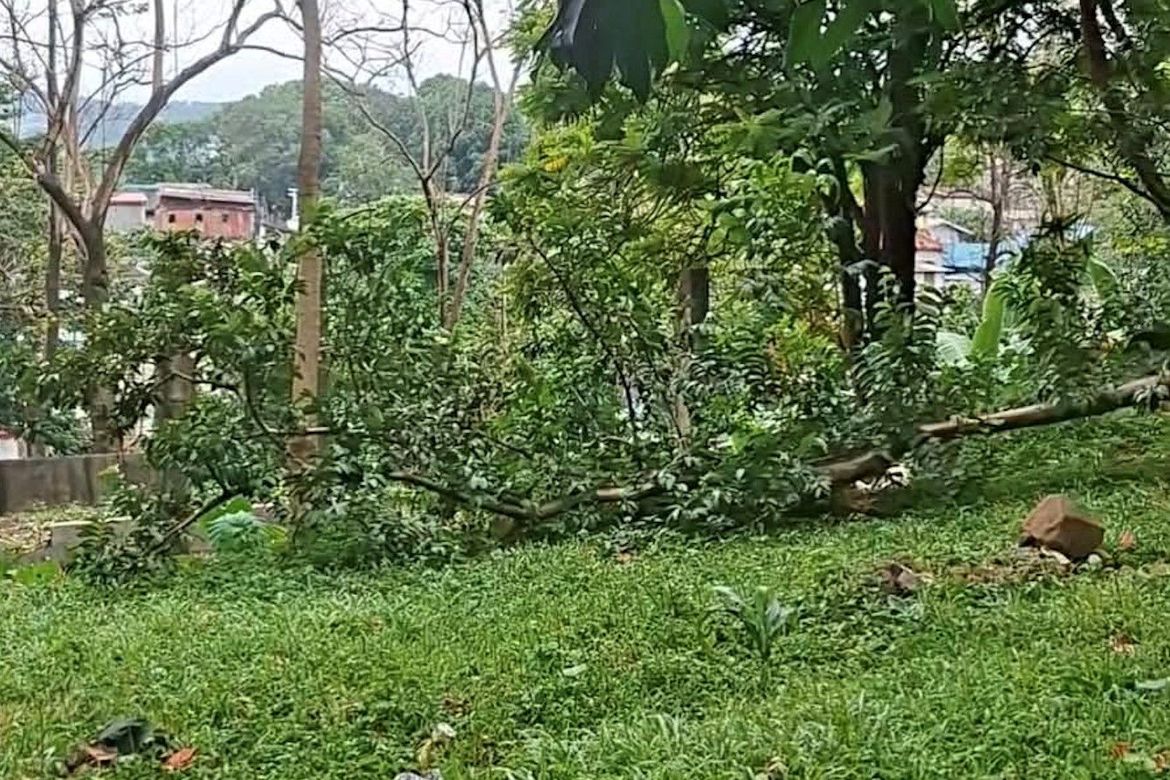 Land for Sale in Dolores, Taytay, Rizal – photo 7