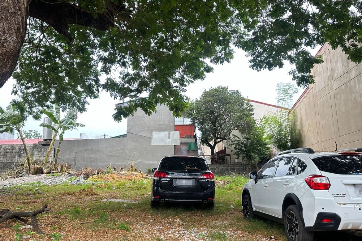 Land for Sale in Don Bosco, Parañaque, Metro Manila – photo 2