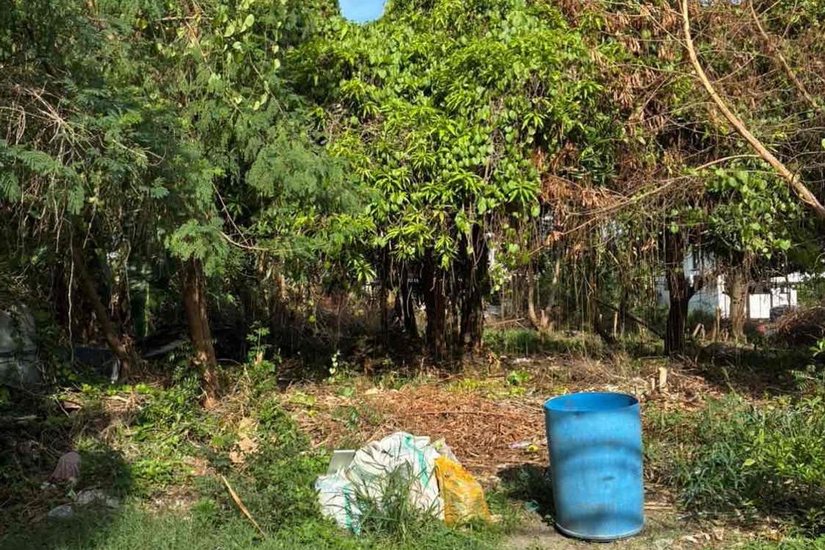 Land for Sale in Don Bosco, Parañaque, Metro Manila – photo 2