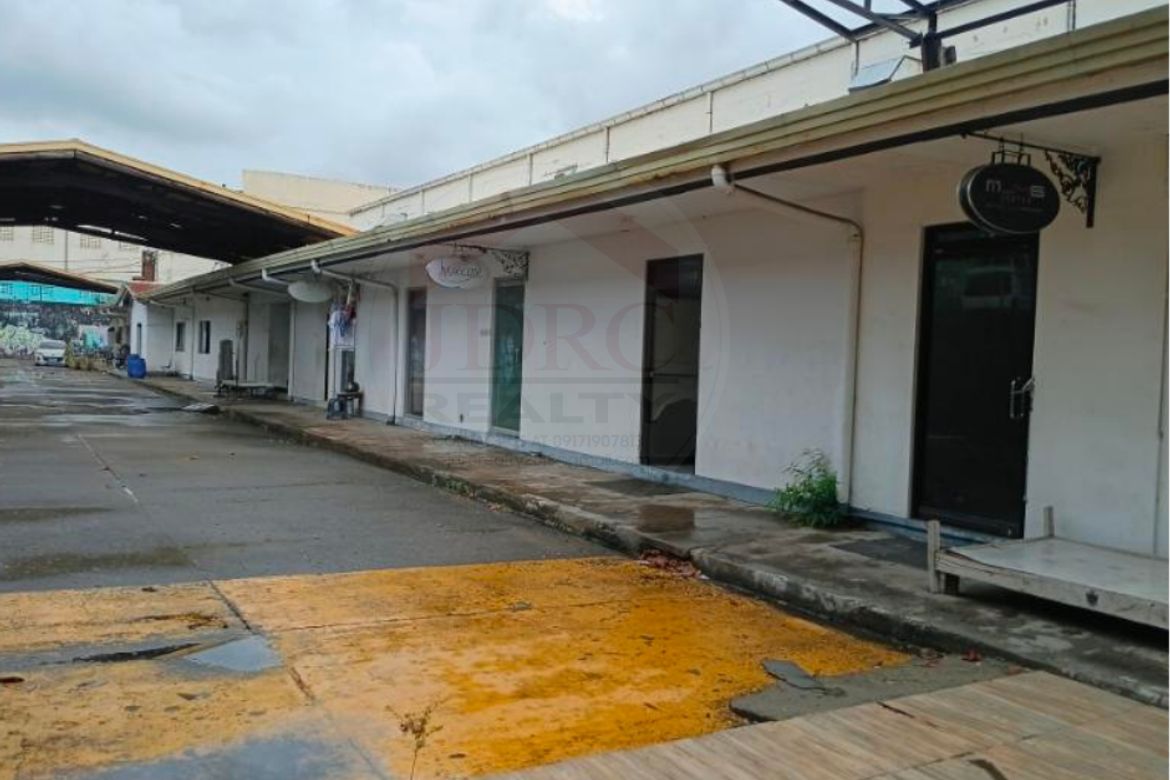 Land for Sale in Don Bosco, Parañaque, Metro Manila
