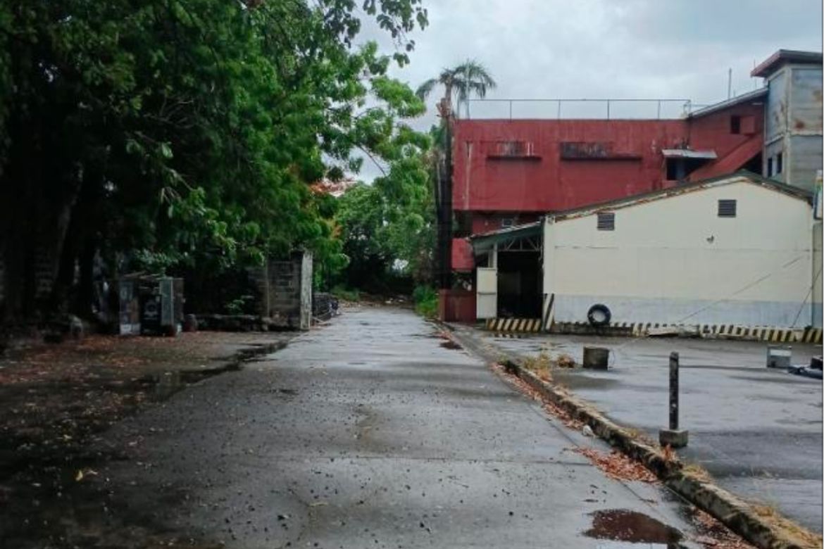 Land for Sale in Don Bosco, Parañaque, Metro Manila – photo 6