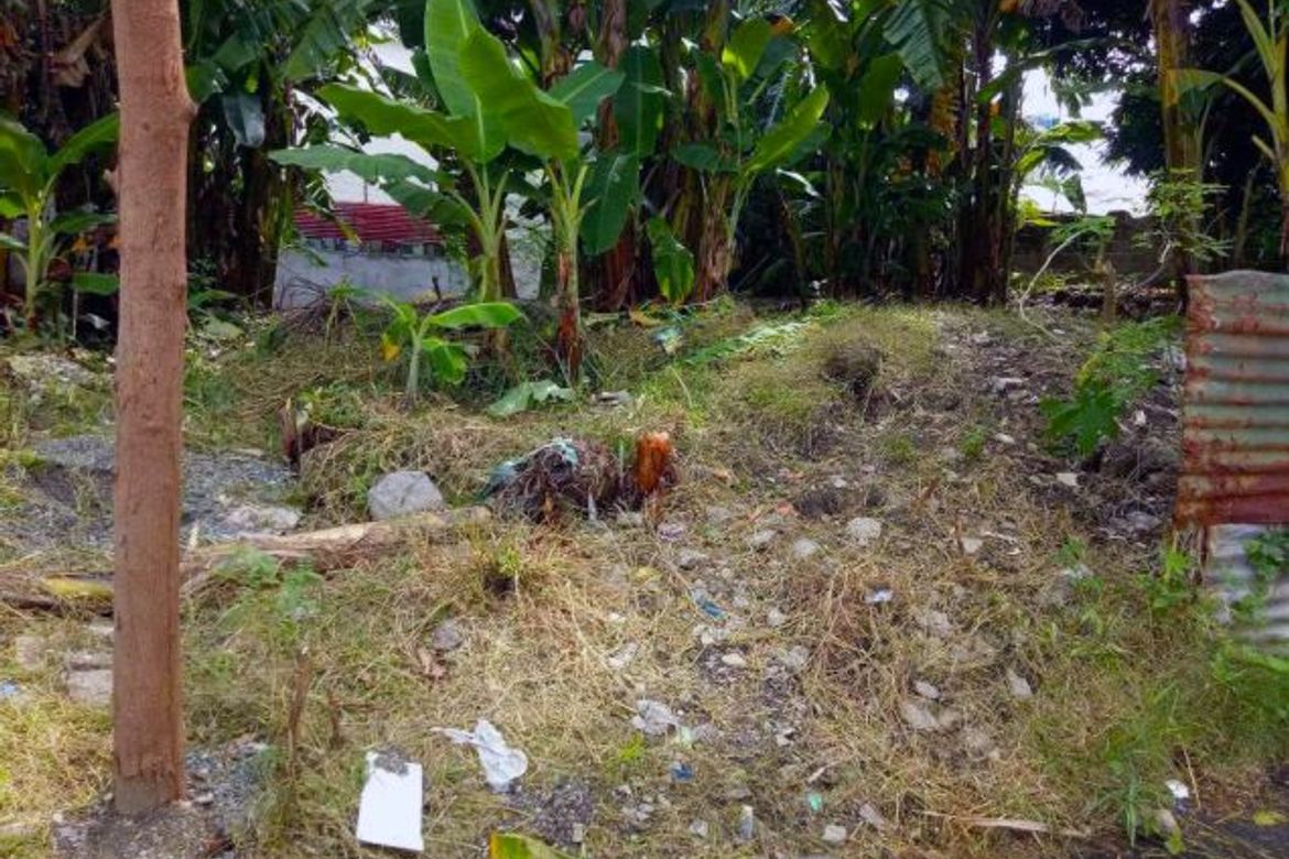 Land for Sale in Don Bosco, Parañaque, Metro Manila – photo 3