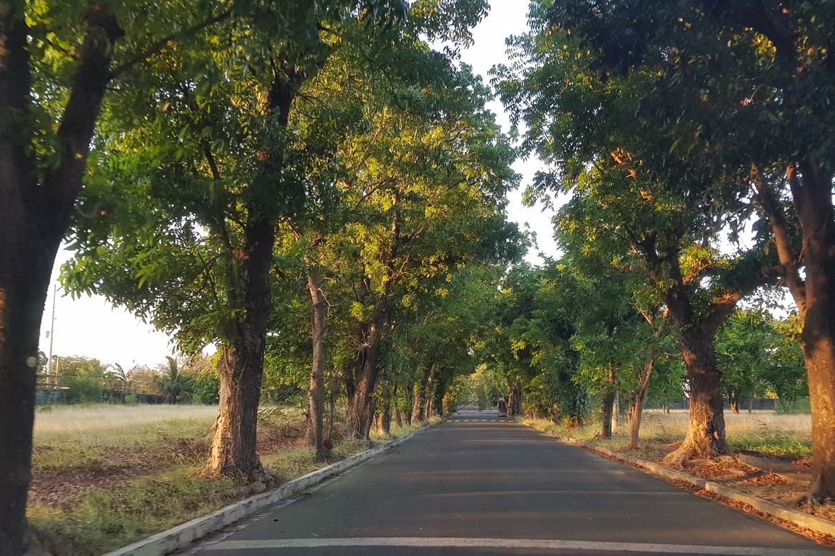 Land for Sale in Don Galo, Parañaque, Metro Manila