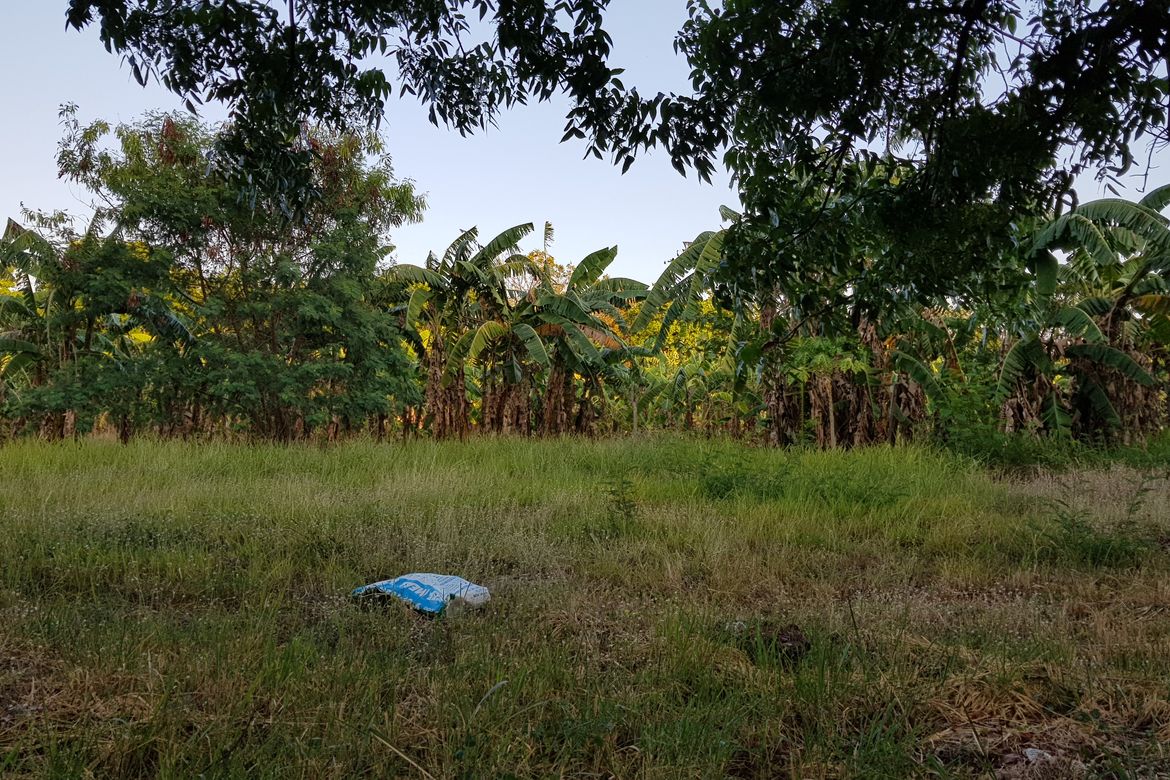 Land for Sale in Don Galo, Parañaque, Metro Manila – photo 3