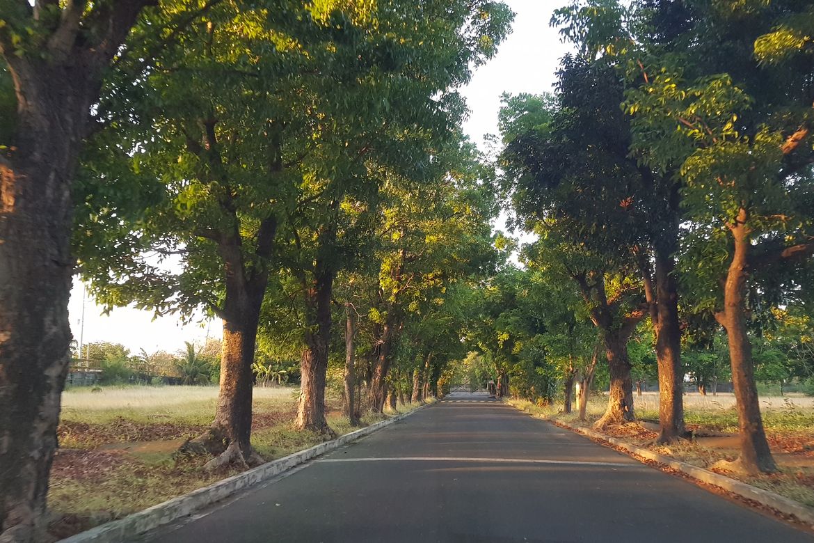 Land for Sale in Don Galo, Parañaque, Metro Manila – photo 4