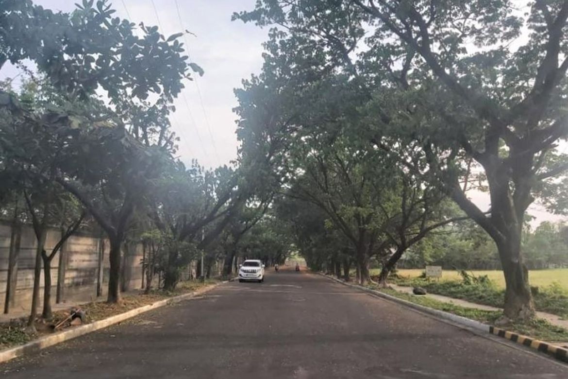 Land for Sale in Don Galo, Parañaque, Metro Manila – photo 2
