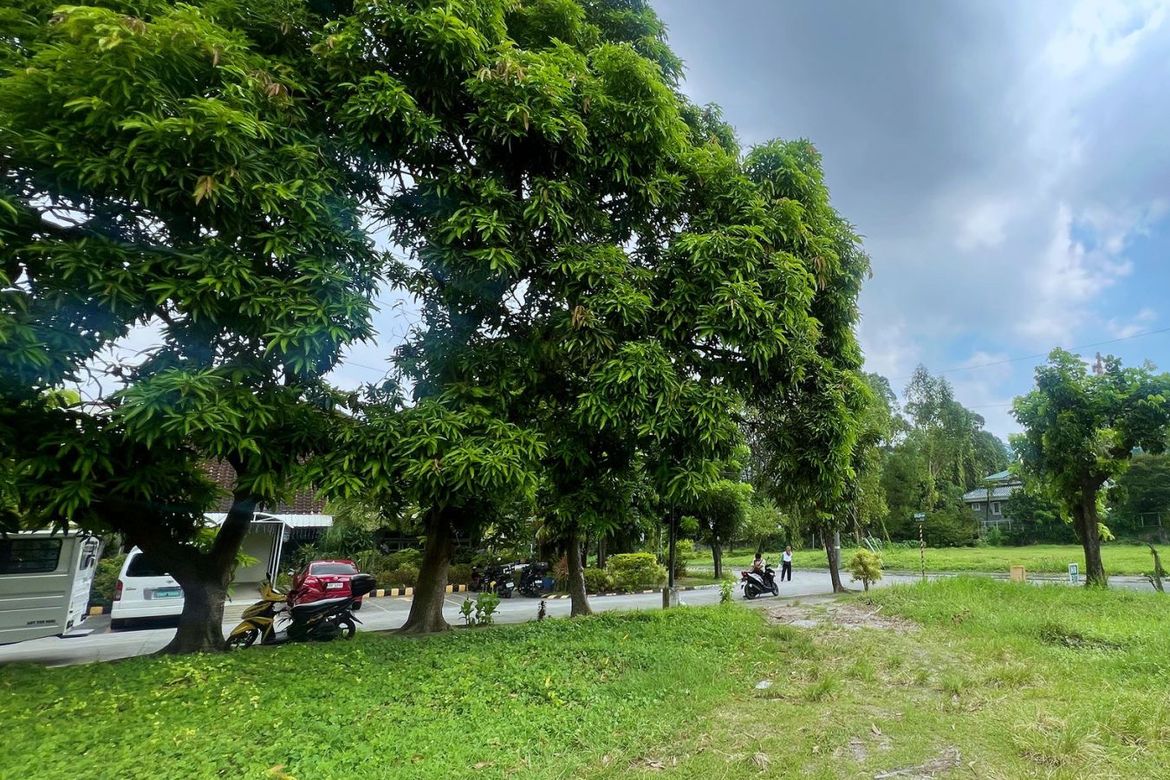 Land for Sale in Don Galo, Parañaque, Metro Manila – photo 8