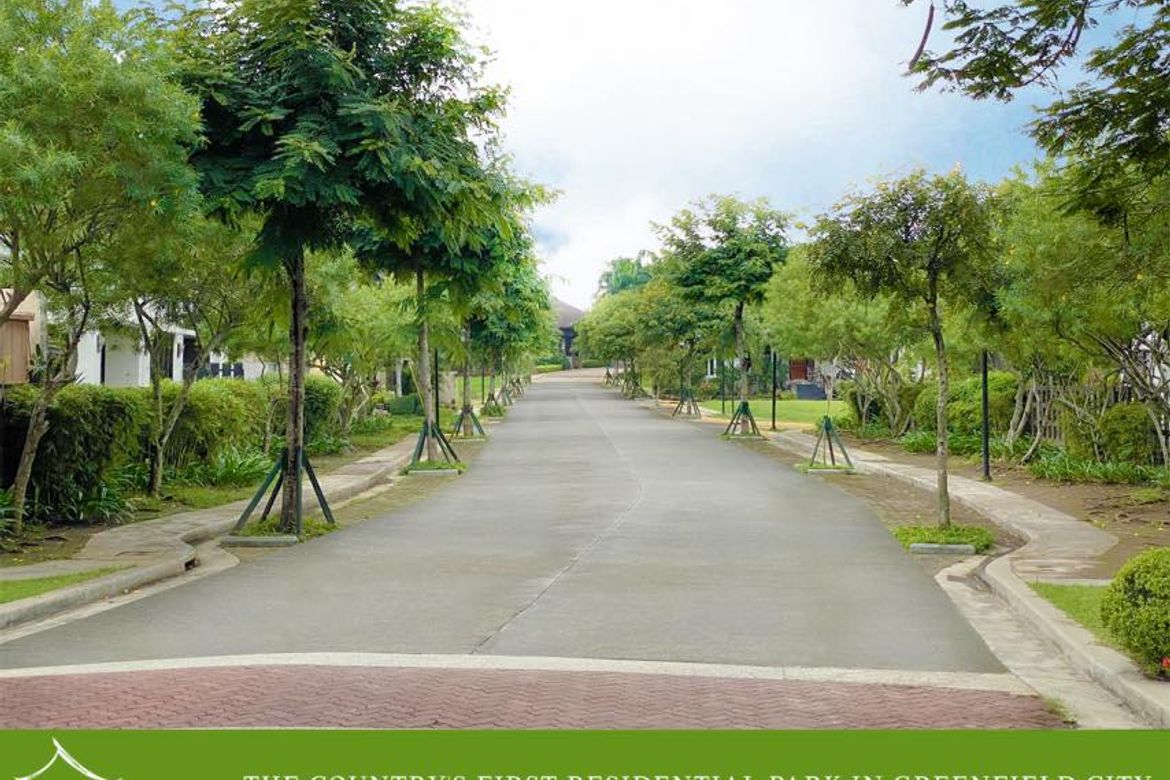 Land for Sale in Don Jose, Santa Rosa, Laguna – photo 6
