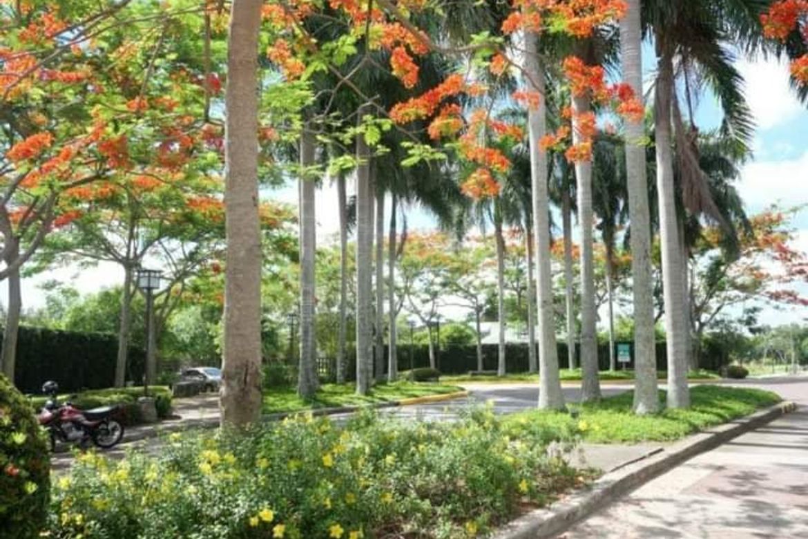 Land for Sale in Don Jose, Santa Rosa, Laguna – photo 8