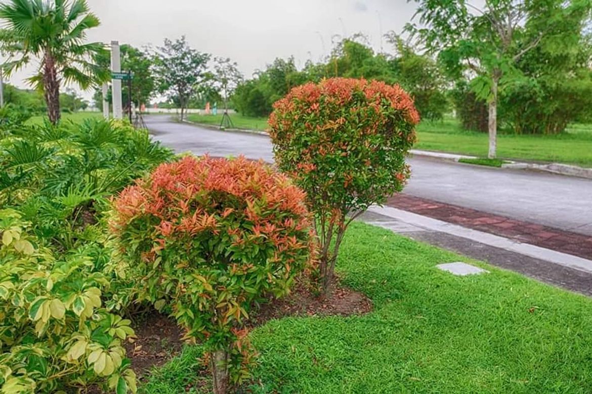 Land for Sale in Don Jose, Santa Rosa, Laguna – photo 7