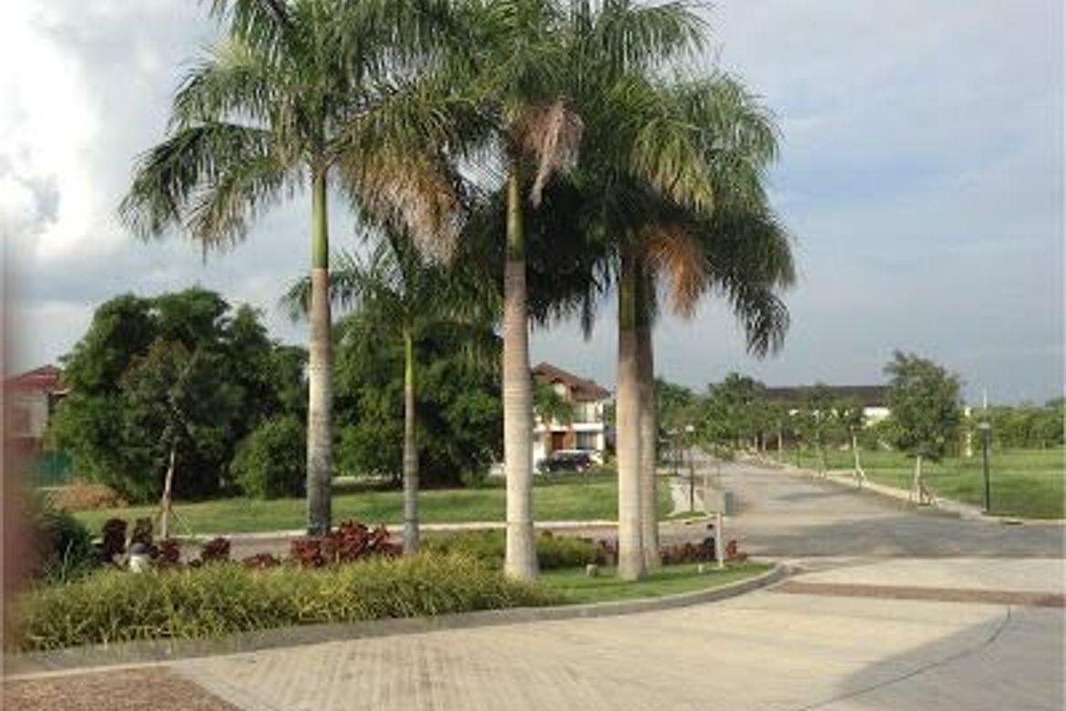 Land for Sale in Don Jose, Santa Rosa, Laguna – photo 2