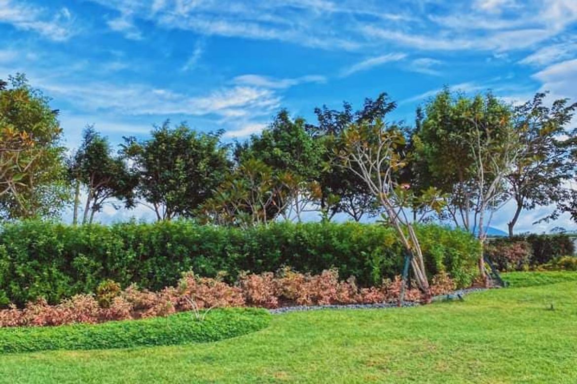 Land for Sale in Don Jose, Santa Rosa, Laguna – photo 2
