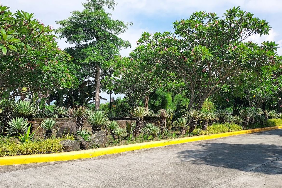 Land for Sale in Don Jose, Santa Rosa, Laguna