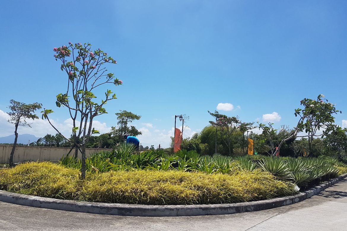 Land for Sale in Don Jose, Santa Rosa, Laguna – photo 7