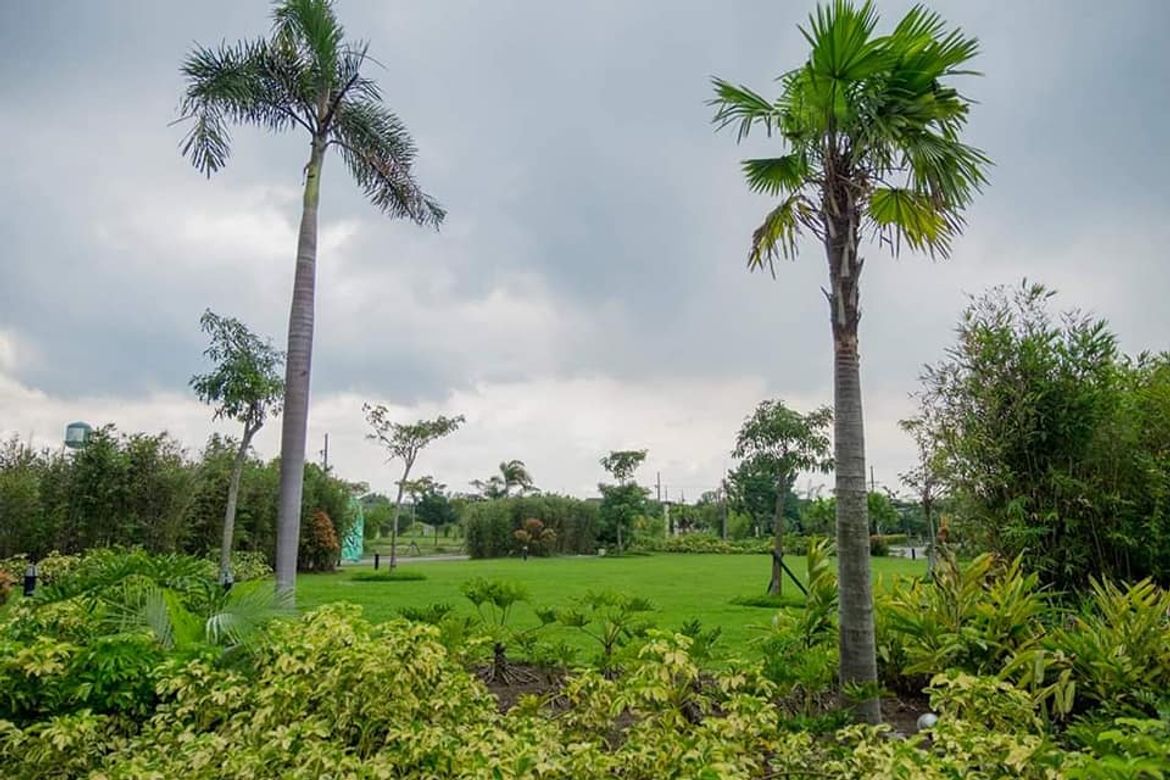 Land for Sale in Don Jose, Santa Rosa, Laguna – photo 7