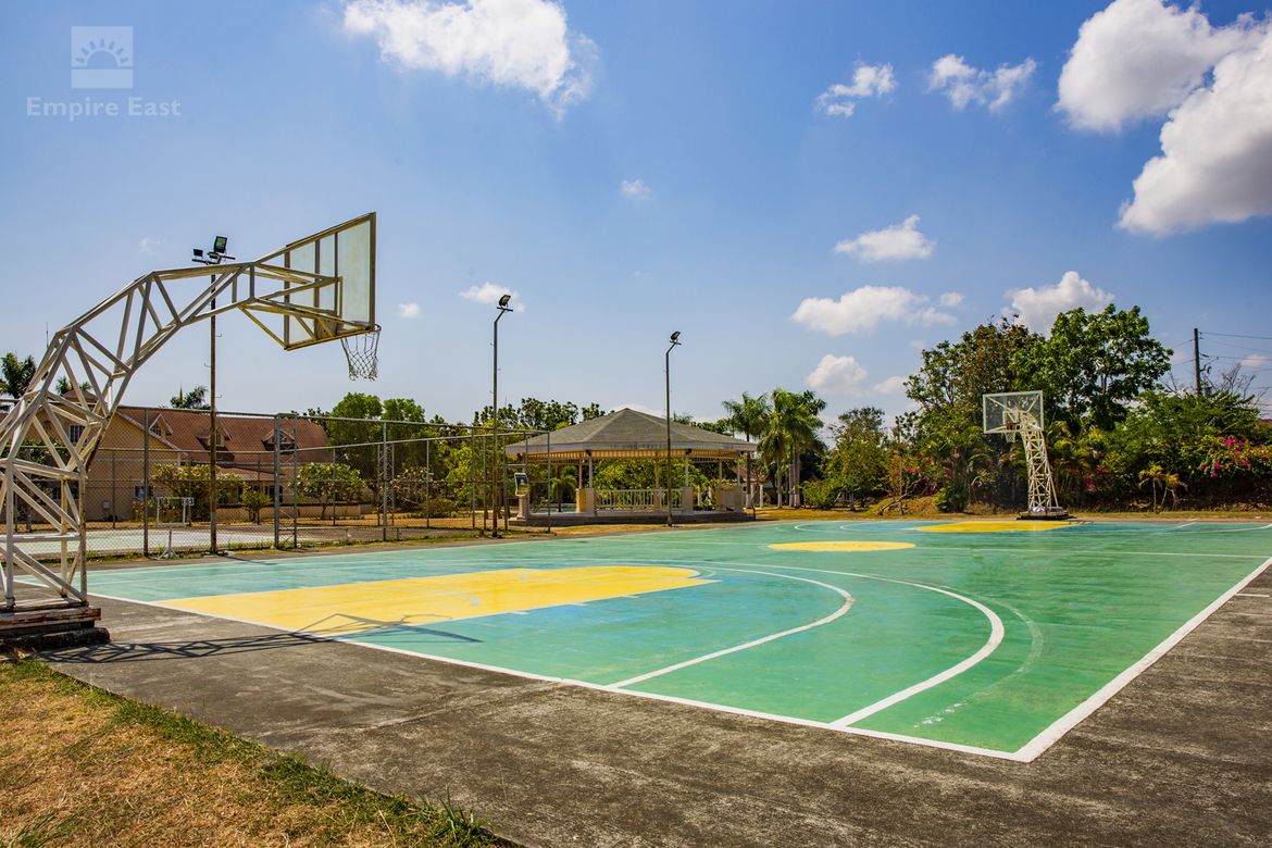 Land for Sale in Don Jose, Santa Rosa, Laguna – photo 7