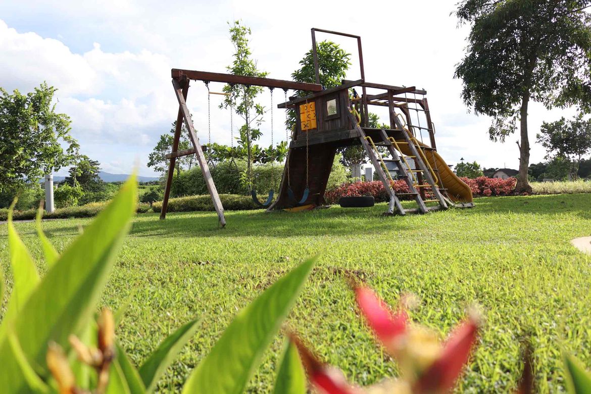 Land for Sale in Don Jose, Santa Rosa, Laguna – photo 3
