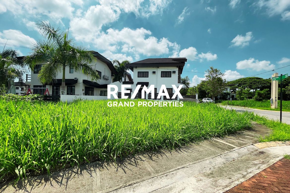Land for Sale in Don Jose, Santa Rosa, Laguna – photo 8