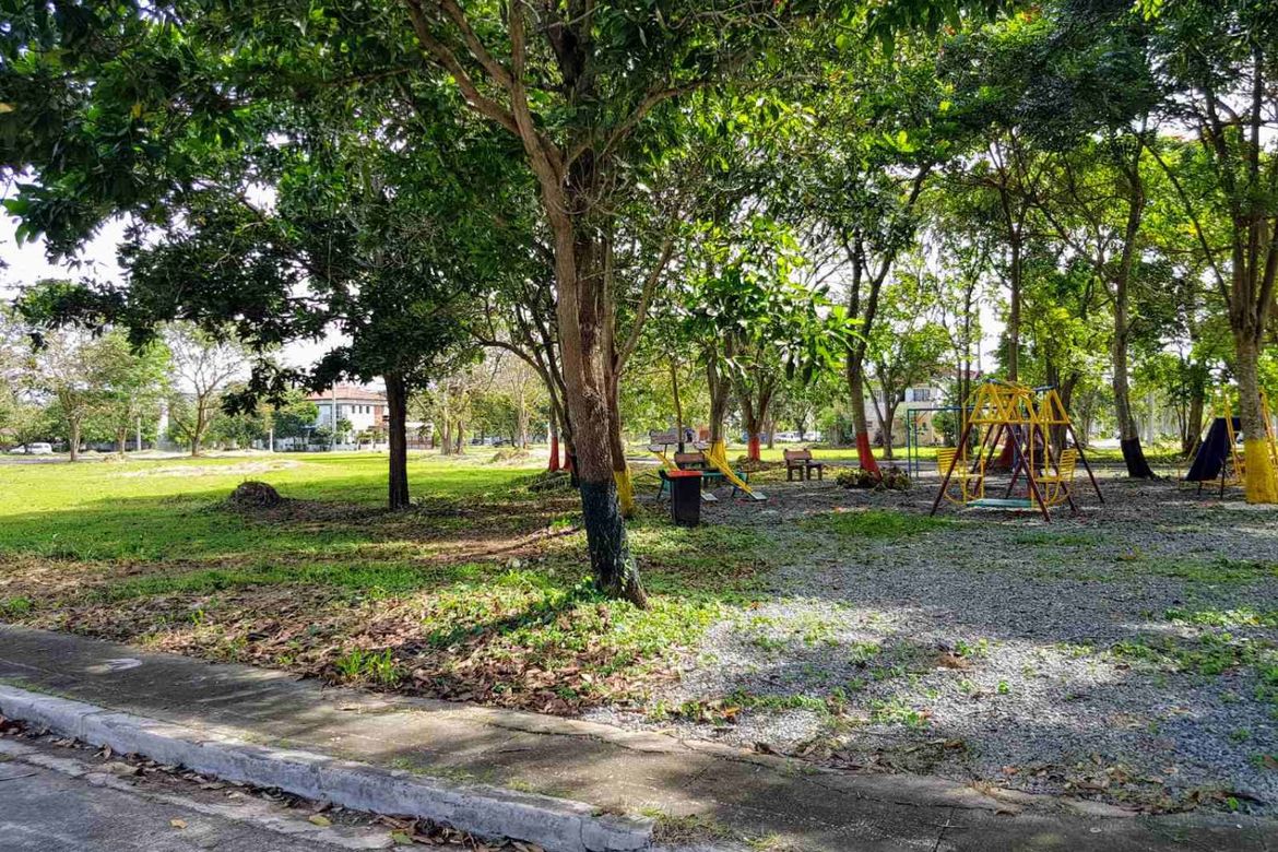 Land for Sale in Don Jose, Santa Rosa, Laguna – photo 3