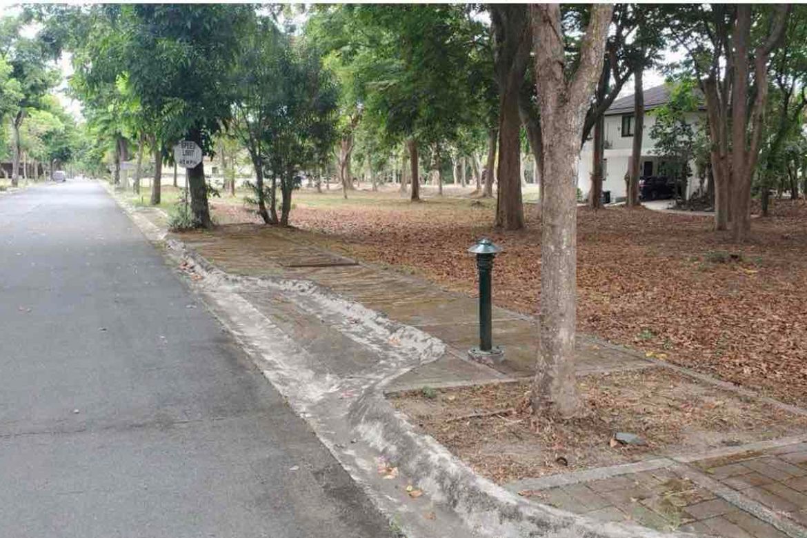 Land for Sale in Don Jose, Santa Rosa, Laguna – photo 3