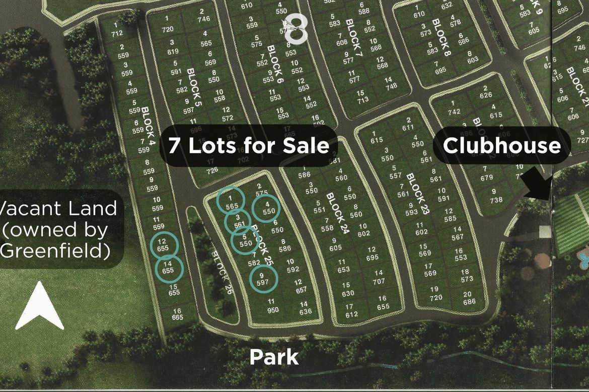 Land for Sale in Don Jose, Santa Rosa, Laguna – photo 5