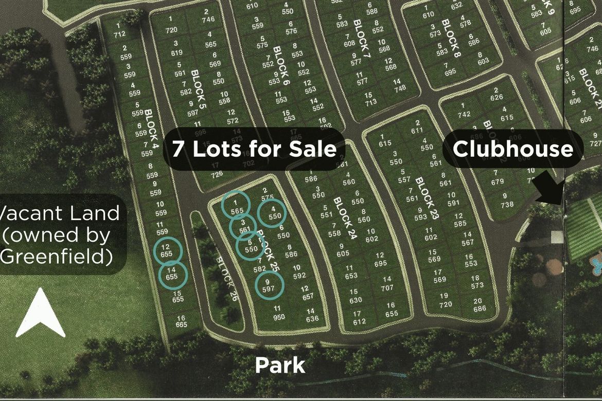 Land for Sale in Don Jose, Santa Rosa, Laguna – photo 5