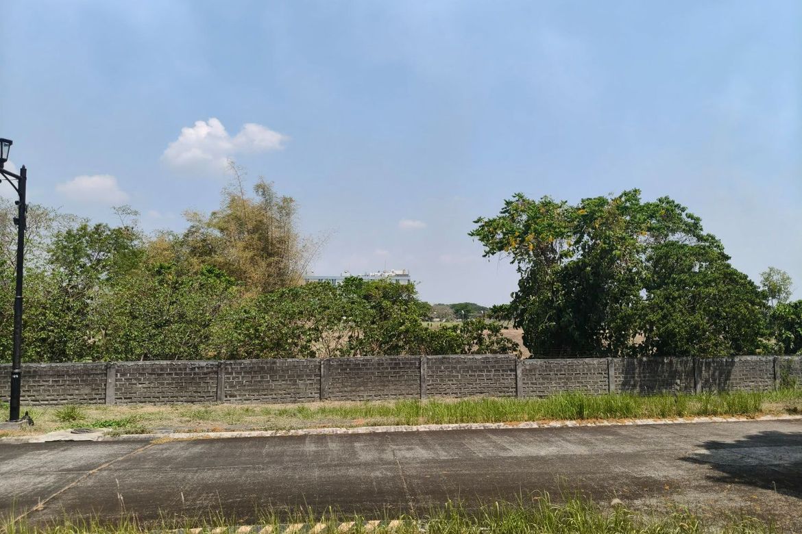 Land for Sale in Don Jose, Santa Rosa, Laguna – photo 5