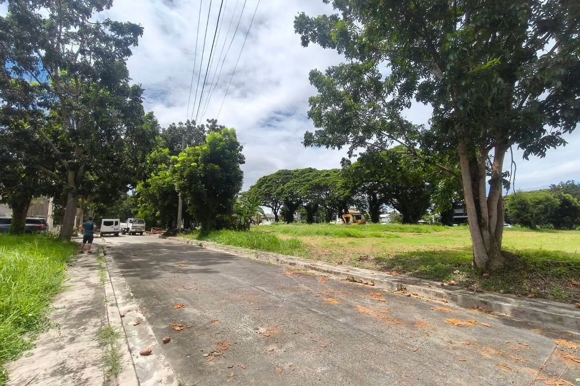Land for Sale in Don Jose, Santa Rosa, Laguna – photo 2