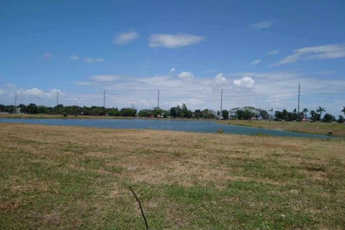 Land for Sale in Don Jose, Santa Rosa, Laguna – photo 3