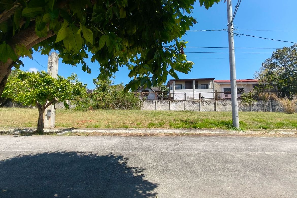 Land for Sale in Don Jose, Santa Rosa, Laguna