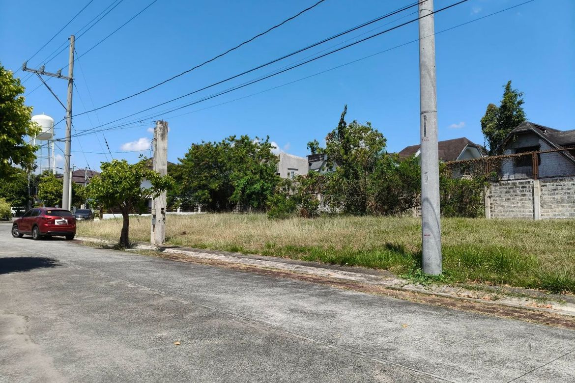 Land for Sale in Don Jose, Santa Rosa, Laguna – photo 4