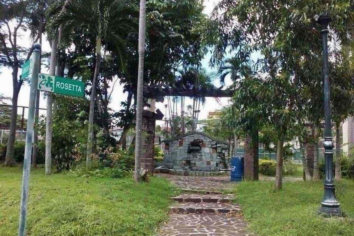 Land for Sale in Don Jose, Santa Rosa, Laguna – photo 3